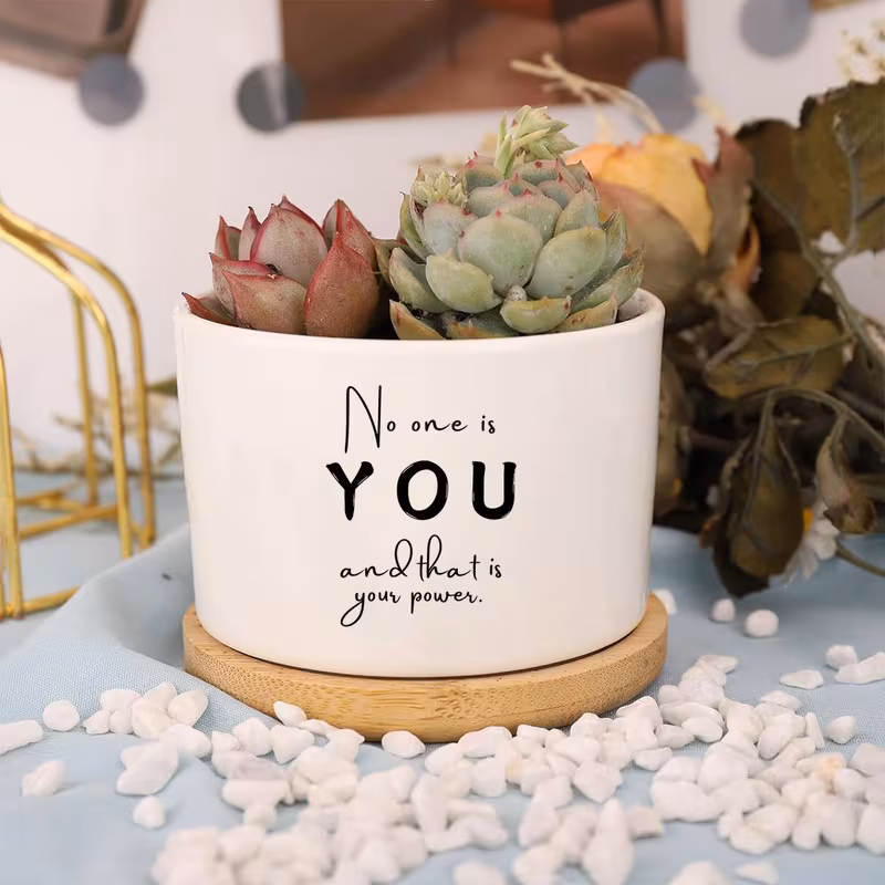 ideal gifts for plant enthusiasts this garden vase collection is perfect for and coworkers featuring ceramic planters and pots make presents for birthdays new year celebrations congratulations