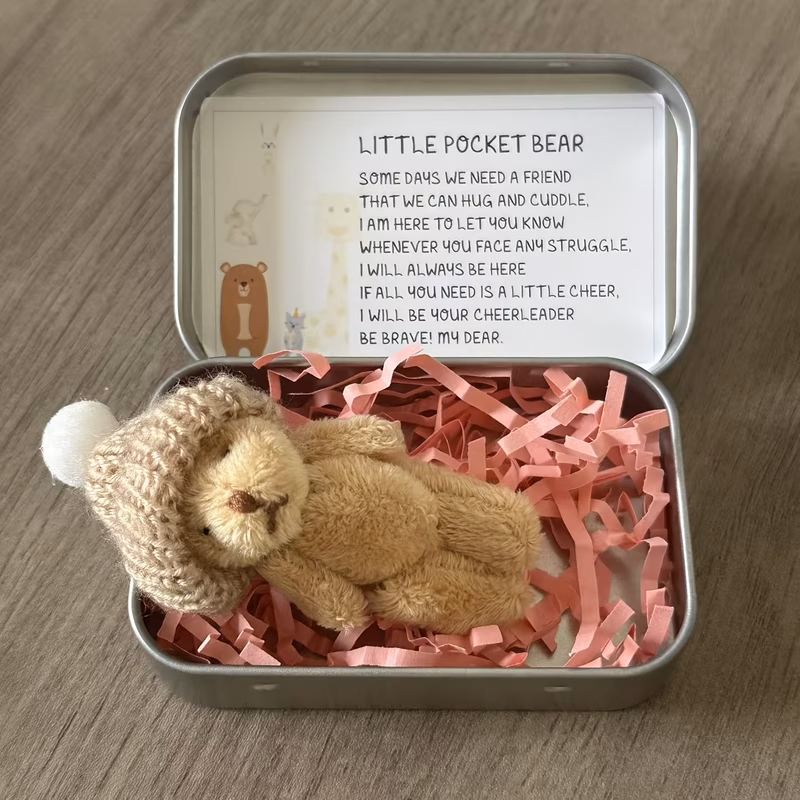 plush bear tin box set plush teddy bear and emotional support greeting card adorable cartoon design with card and hat perfect encouragement gift for teddy bear party party favor bag christmas gift tha