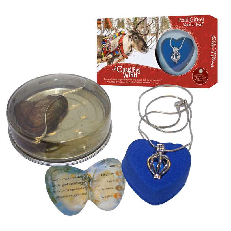 the christmas pearl kit with pendant necklace oyster pendant with box for girls women christmas reindeer