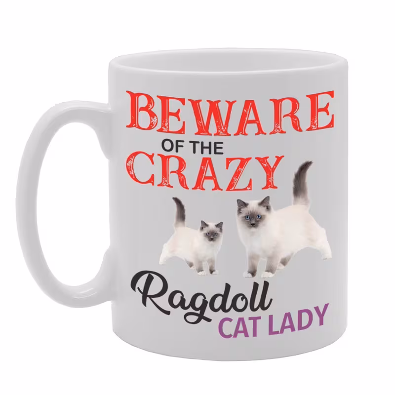 beware of the crazy lady printed tea coffee ceramic mg4510 funny printed coffee mug great gift idea