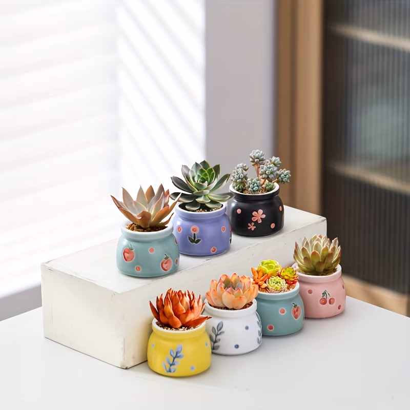 a set of 6 mini hand painted succulent pots featuring fresh hand drawn patterns and vibrant colors small desktop flower pots come with drainage holes making them home or office garden decor gardening