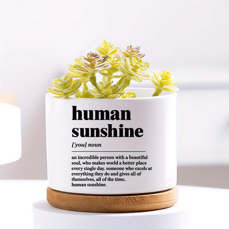 gifts for plant enthusiasts including decorative ceramic pots and small succulent containers indoor gardening are for appreciation to employees and make thoughtful presents for coworkers