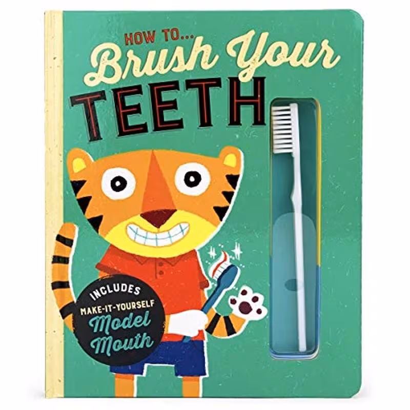 how to brush your teeth yourself model mouth