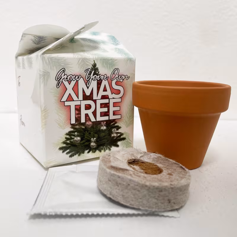 christmas tree mini box kits teacher thank birthdays parties corporate events wedding favours christenings gift box