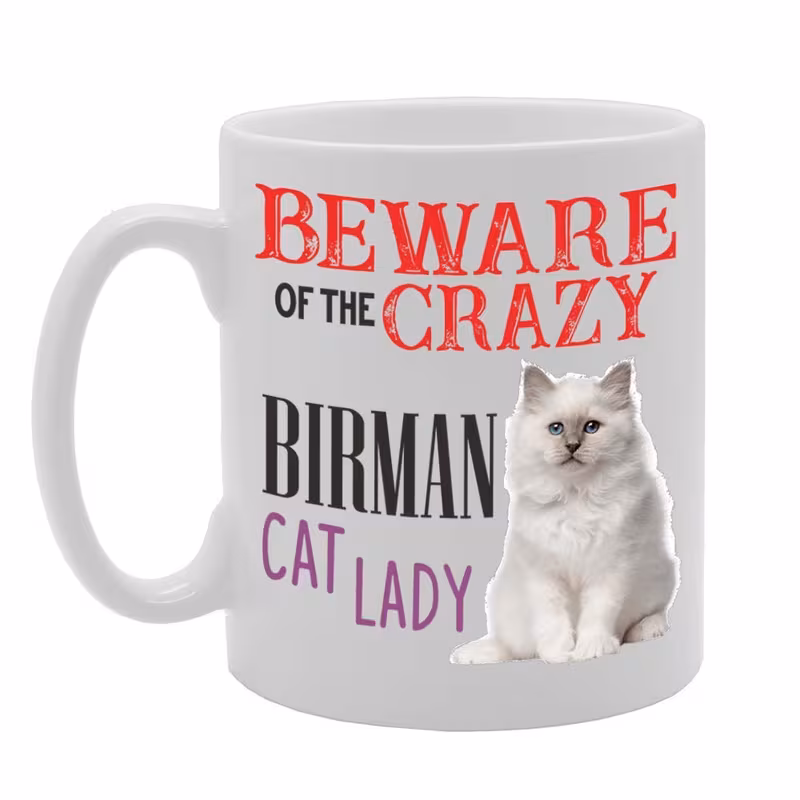 beware of the crazy cat lady printed tea coffee ceramic mg4508 funny printed coffee mug great gift idea