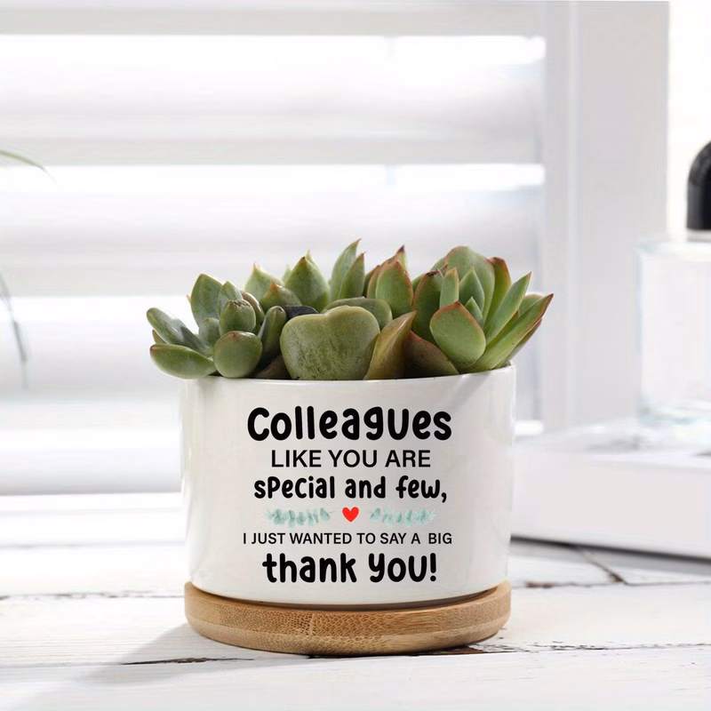 ceramic planters and pots designed as gifts to show appreciation for colleagues managers and employees suitable for birthdays retirements promotions and plant enthusiasts gardening gift home decor