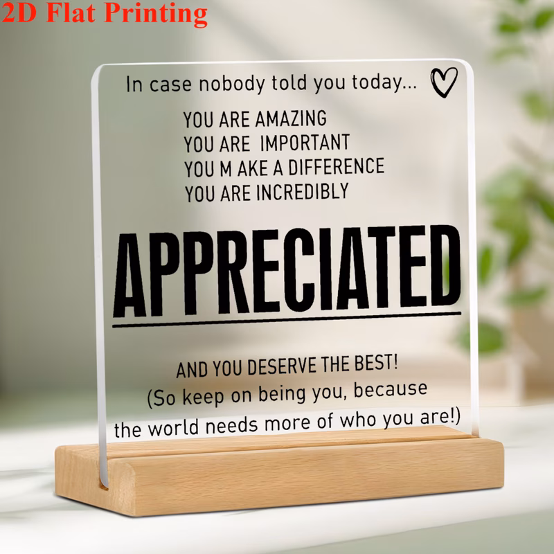 2d flat acrylic decoration sign with inspirational quote in case nobody important incredibly appreciated for office bedroom and study