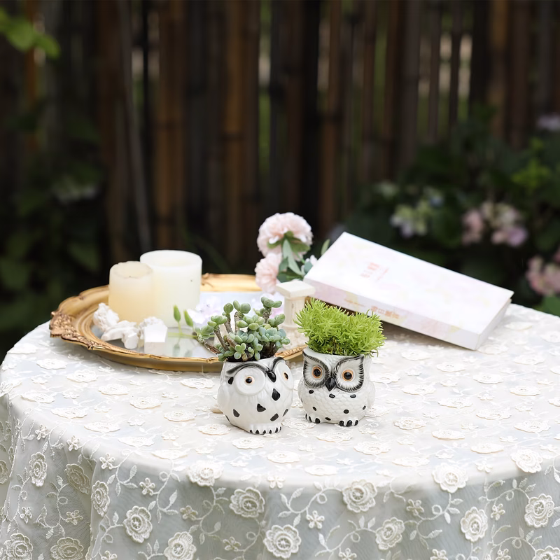 set of 2 owl ceramic flower pots 3 inches with drainage a cute pot series for indoor herb gardens cactus plant pots air plants and a beginner gardening kit for kitchen windowsills owl gift plants not