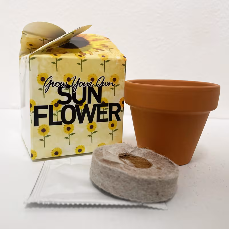 sunflower mini box kits teacher thank birthdays parties corporate events wedding favours christenings sunflowers holidays gift box