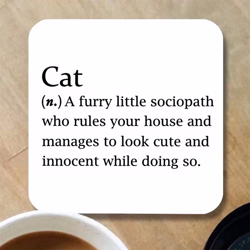 1 funny cat coaster a fluffy little who manages to control your home while maintaining a cute and office resin table mat