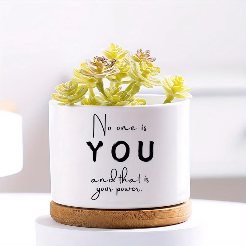1pc ceramic flower pot and 1pc bamboo tray plants not included ideal gift for plant lovers this garden vase series is a for and colleagues the product ceramic planter and flower pot