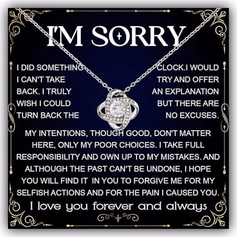 necklace for her with a message card and gift box gifts to seek im sorry for wounding you necklace gift for wife girlfriend or christmas and birthday gifts